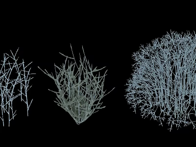 Arbor Trees with Three Varied Branch Structures in Line Art on Black Background 3d model