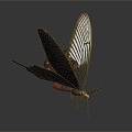 Modern Butterfly Colored Butterfly Tabby Butterfly Leaf Butterfly 3d model