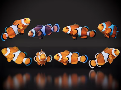 Multiple Colorful Clownfish In Various Poses With Reflections On Dark Background 3d model