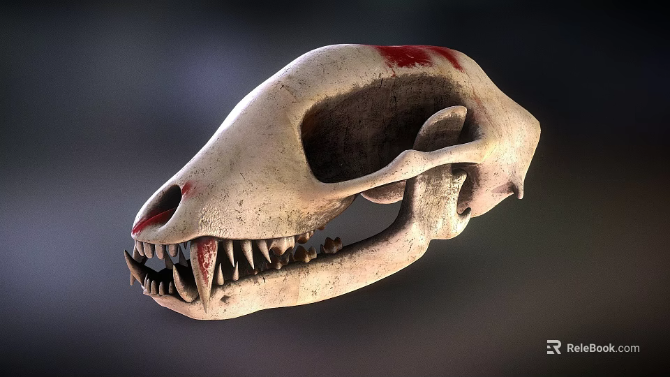 Detailed Animal Skull With Sharp Fangs And Red Marks On Bone Surface 3d model 