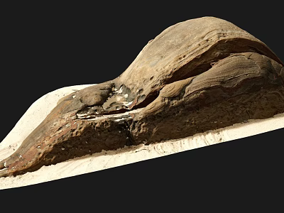 Stone Wood Fusion Piece With Organic Texture And Natural Design Elements 3d model