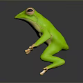 Realistic Vibrant Green Frog With Large Eyes In Sitting Pose On Black Surface