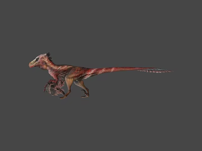 Realistic 3D Dinosaur Model With Colorful Feathers And Long Tail 3d model
