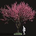 Pink Flowering Tree with White Base and Green Plants Near Human Figure Sculpture