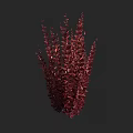 Red Bushy Plants With Lush Dense Foliage And Vibrant Leaves