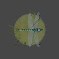 Blue and Black Dragonfly Perched on Branch with Green Reeds and Water Surface