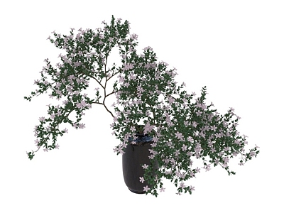 Modern potted green plants potted plants bonsai plant combination 3D model 168 3d model