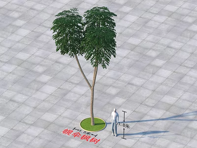 Huangsuan Maple Arbor With Person Standing By Circular Green Area On Gray Tiled Ground 3d model