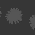 Palm Trees Isolated On Black Background With Different Sizes Green Foliage And Trunks