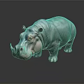Detailed Realistic 3D Hippo Model Standing on Dark Background with Reflection 3d model