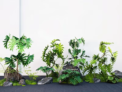 Lush Green Plants With Various Leaf Shapes And Decorative Stones In Garden Arrangement 3d model