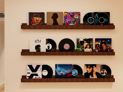 Entryway Hallway Interior With Wooden Shelves Displaying Vinyl Records And Album Covers 3d model