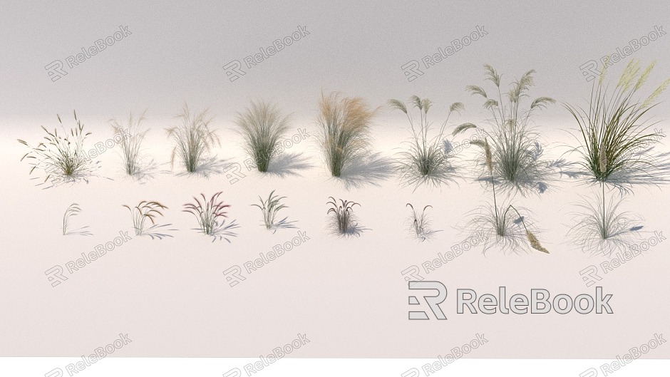 Modern Grass Plant Plant Flower Grass Dog Tail Grass Pennisetum model