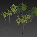 Trees Tropical Trees Coconut Trees Palm Trees Landscape Trees Seaside Landscape Green Planting 3d model