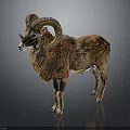 Brown Ram Taxidermy With Large Curved Horns Standing On Dark Background With Reflection