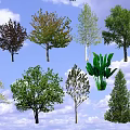Various Types of Arbor Trees with Green Red Foliage and Blue Sky Background