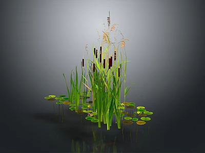 Green Aquatic Plants With Cattails Lily Pads Reeds And Floating Leaves In Wetland 3d model