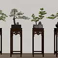 Potted Bonsai Trees Displayed On Carved Dark Wooden Stands Against Light Wall