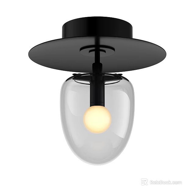 Modern Minimalist Ceiling Light With Black Round Base Transparent Glass Shade And Illuminated Bulb 3d model 