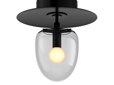 Modern Minimalist Ceiling Light With Black Round Base Transparent Glass Shade And Illuminated Bulb 3d model