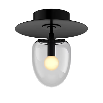 Modern Minimalist Ceiling Light With Black Round Base Transparent Glass Shade And Illuminated Bulb 3d model