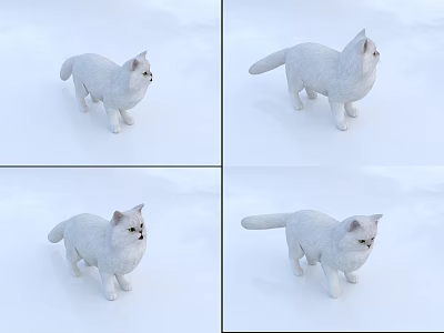 White Cat Figurine Shown In Multiple Angles On White Background 3d model