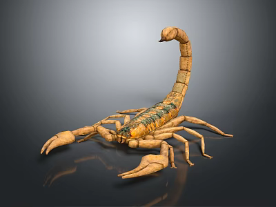 Yellow And Green Scorpion With Long Tail Large Pincers Shiny Exoskeleton On Gray Background 3d model