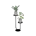 Bonsai Potted Plants on Black Multi tiered Stand with Gray Pots and Green Leaves