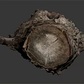 Rustic Wooden Stone Log With Natural Textured Surface And Smooth Dark Background Reflection