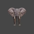Elephant Game Movie Character with Large Ears Long Trunk and White Tusks