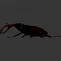 Modern beetle dung beetle chafer 3d model
