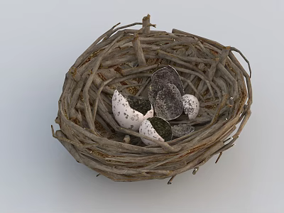 Intricate Natural Twig Birds Nest with Small Speckled Eggs Inside 3d model