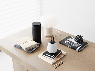 Modern Decorative Ornament Set With Books Lamp Jar And Spiky Decor On Wooden Table 3d model