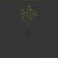 Plant Organ Structure With Root Hairs Yellow Flowers Stem And Leaves