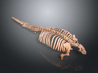 Detailed Medical Device Human Skeleton Model for Anatomical Education and Research 3d model