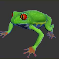 Striking Green Reptile With Red Eyes Orange Toes And Blue Yellow Body Patterns