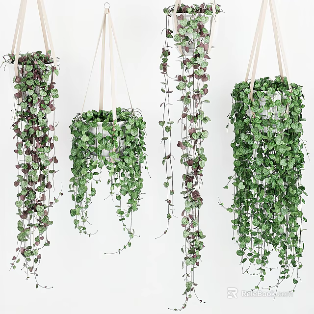 Decorative Hanging Basket Plants With Trailing Green And Purple Leaves 3d model 