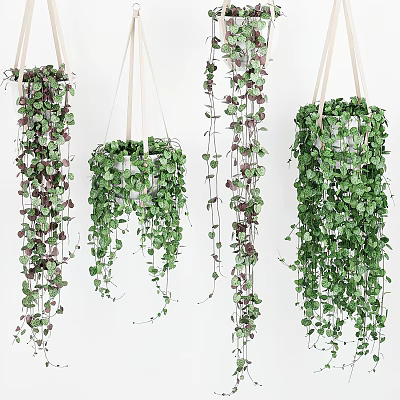 Decorative Hanging Basket Plants With Trailing Green And Purple Leaves 3d model