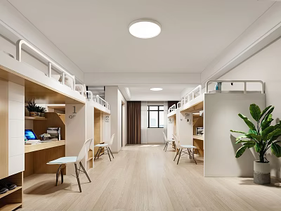School Dormitory Interior With Bunk Beds Desks Chairs Wooden Floor Window And Plant 3d model