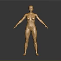 Golden Human Figure Sculpture With Circuit Mechanical Texture Standing Pose And Gray Gradient Background
