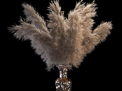 Decorative Silver Shiny Vase With Feathery Pampas Grass On Black Background 3d model