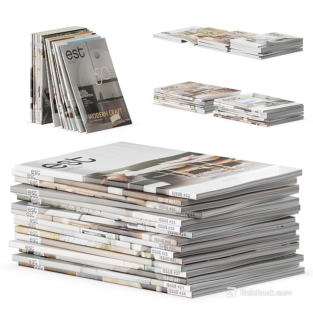 Stacked Magazines With Various Cover Designs And Titles In Neatly Arranged Piles 3d model 