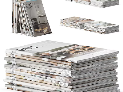 Stacked Magazines With Various Cover Designs And Titles In Neatly Arranged Piles 3d model