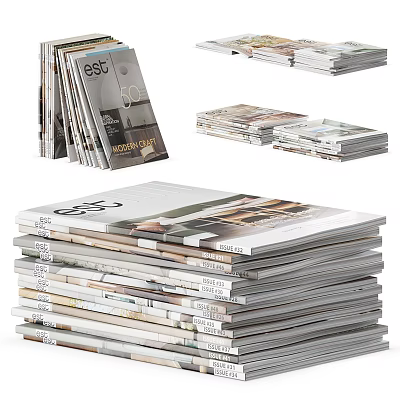 Stacked Magazines With Various Cover Designs And Titles In Neatly Arranged Piles 3d model