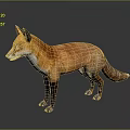 Game Movie Character 3D Model of Fox with Brown and White Fur Standing Pose 3d model