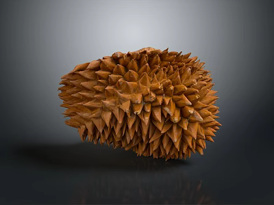 Ripe Brown Durian Fruit With Spiky Exterior And Fresh Tropical Appeal 3d model