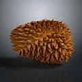 Ripe Brown Durian Fruit With Spiky Exterior And Fresh Tropical Appeal