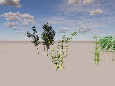 Various Types of Bamboo Growing on Open Light Ground Under Blue Sky With White Clouds 3d model
