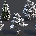 Snow Covered Arbor Varieties With Dense Branches And White Foliage 3d model