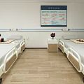 Modern Hospital Room Interior Featuring White Walls Wooden Floors Beds Flowers And TV